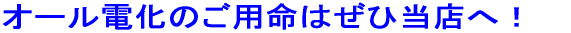 �I�[���d���̂��p���͂��Г��X�� 
